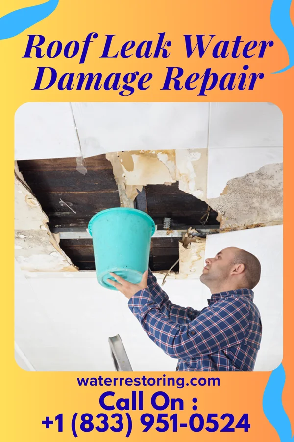 Roof Leak Water Damage Repair in Golf, IL